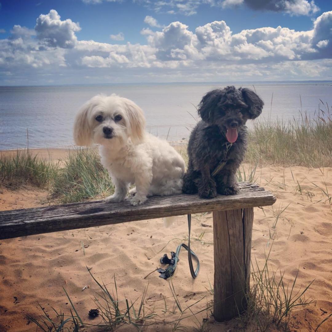 Luna och Miloue gillar att spendera tid tillsammans på stranden.