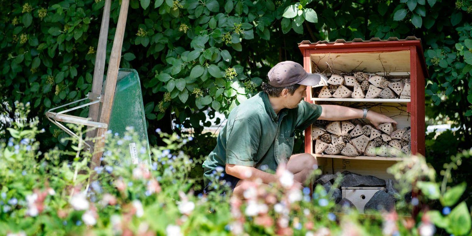 Konstnären Erik Sjödin bygger en bod för bin i Marabouparken I Sundbyberg.