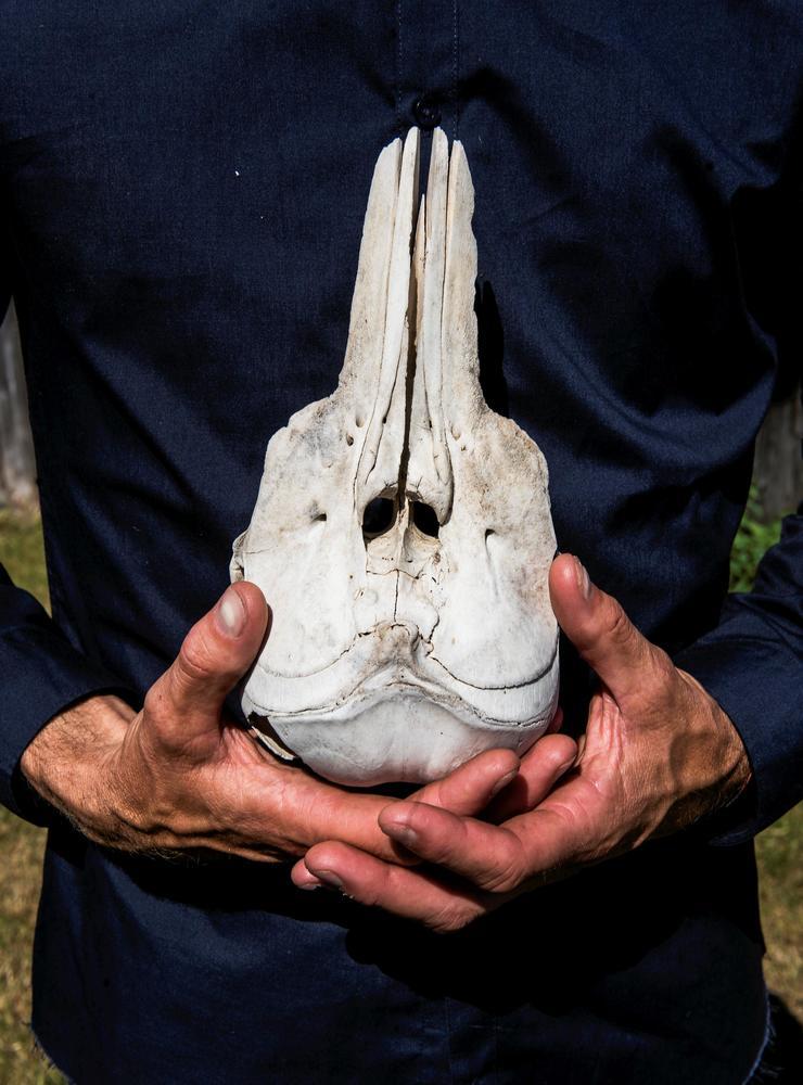 Under en av alla sina promenader hittade Andreas ett kranium av en tumlare. ”Jag inspireras av naturens alla former,” säger han. 