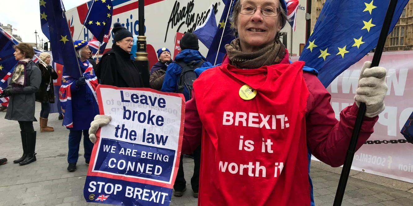 Ruth Fryer bor i Canterbury i sydöstra England men har den senaste tiden ändå demonstrerat nästan varje dag utanför det brittiska parlamentet i London.