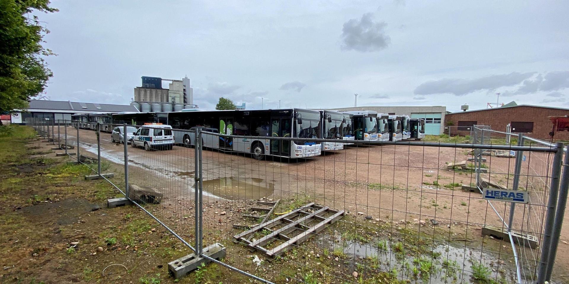 Bussar står på rad i Halmstads hamn, efter att Arriva förlorade upphandlingen.