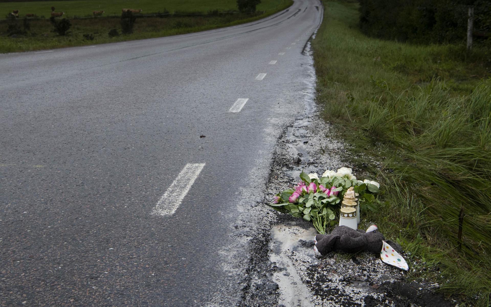 En femårig flicka och en kvinna i 60-årsåldern avled efter en frontalkrock på Oskarströmsvägen på torsdagskvällen.