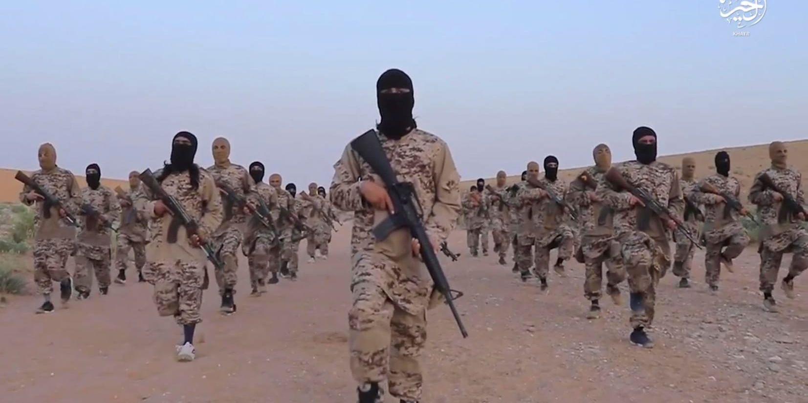 USA uppmanar europeiska länder att ta tillbaka IS-medlemmar som gripits i Syrien. Arkivbild.