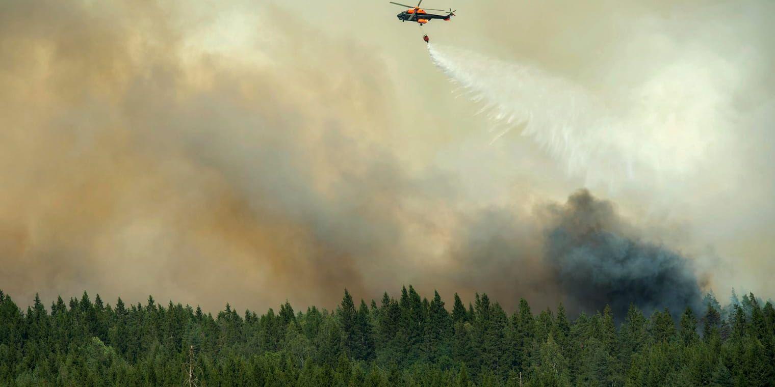 Helikopter vattenbombade utanför Gammelby under den stora skogsbranden i Västmanland 2014. Arkivbild.