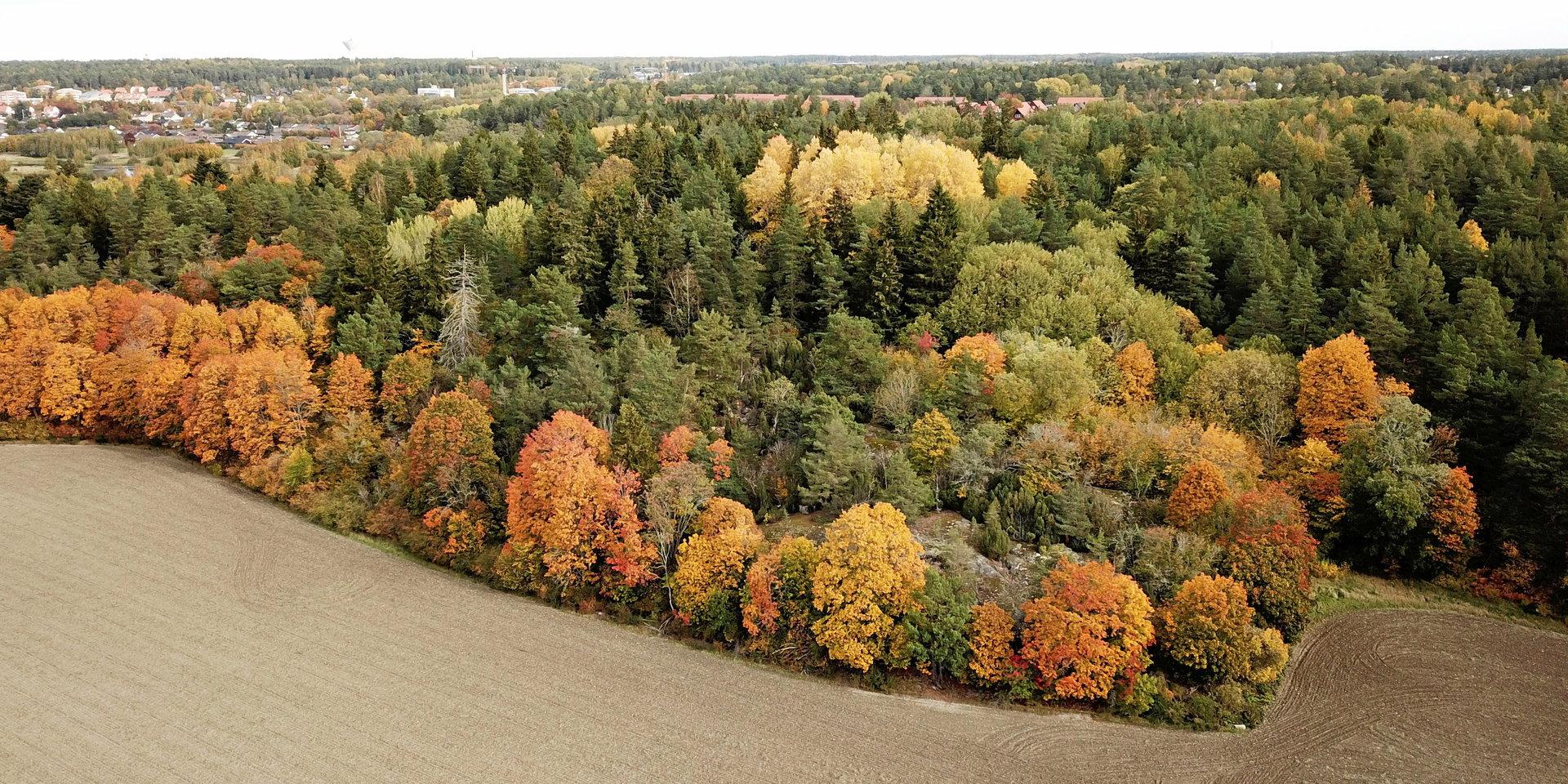 Att exploatera skogsmark och jordbruksmark är inte försvarbart, framhåller skribenten.