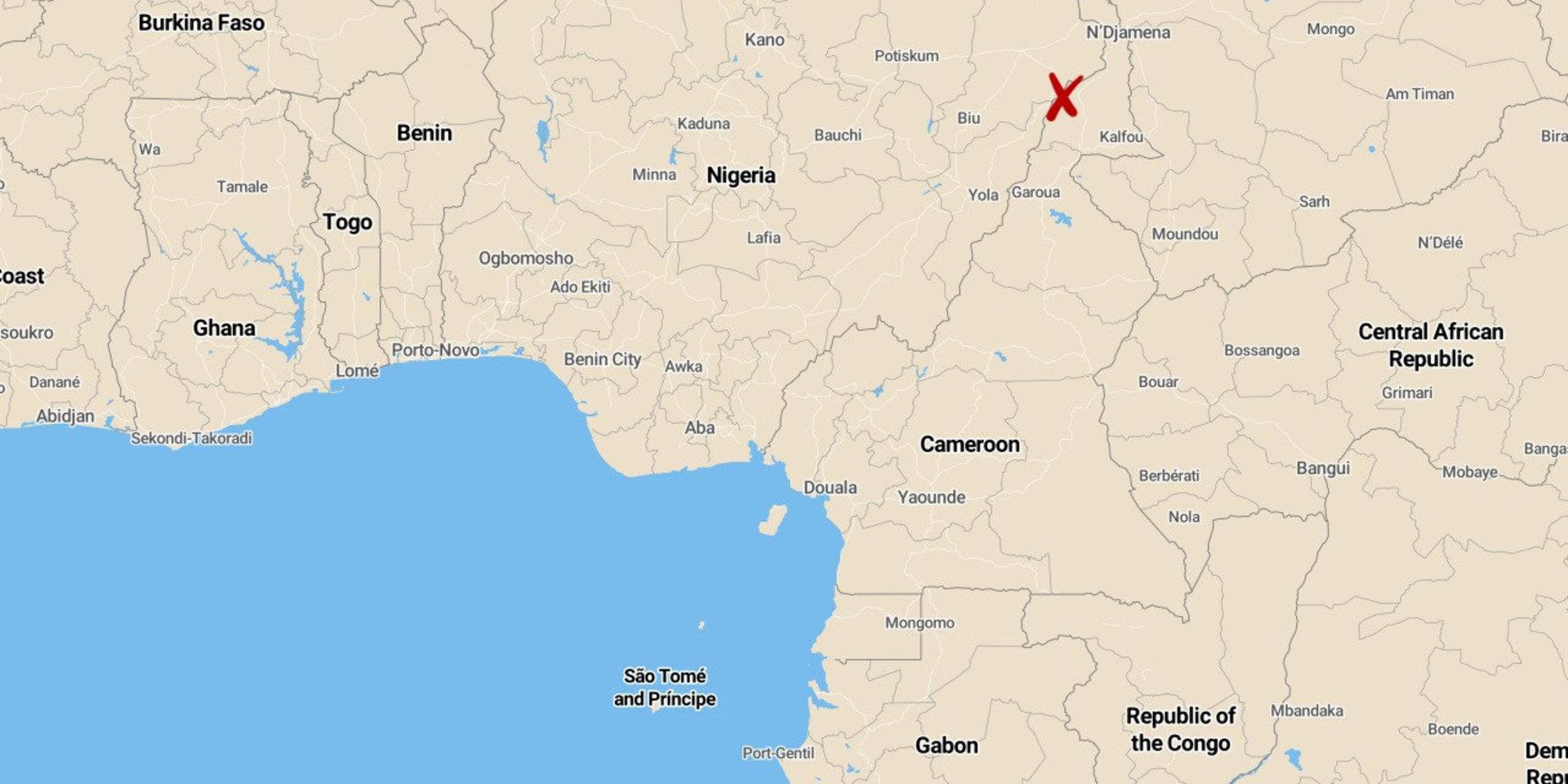 Minst sju har dödats i ett självmordsdåd i norra Kamerun. 