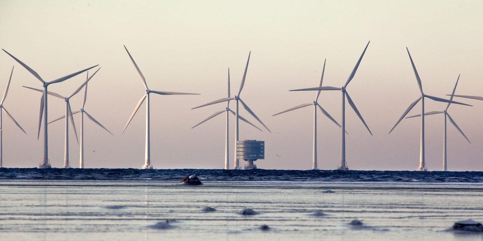 Vindskraftparken Lillgrund i Öresund söder om Malmö. Utanför Hallandskusten finns planer på fyra vindkraftparker med en betydande produktion, enligt Miljöpartiet.