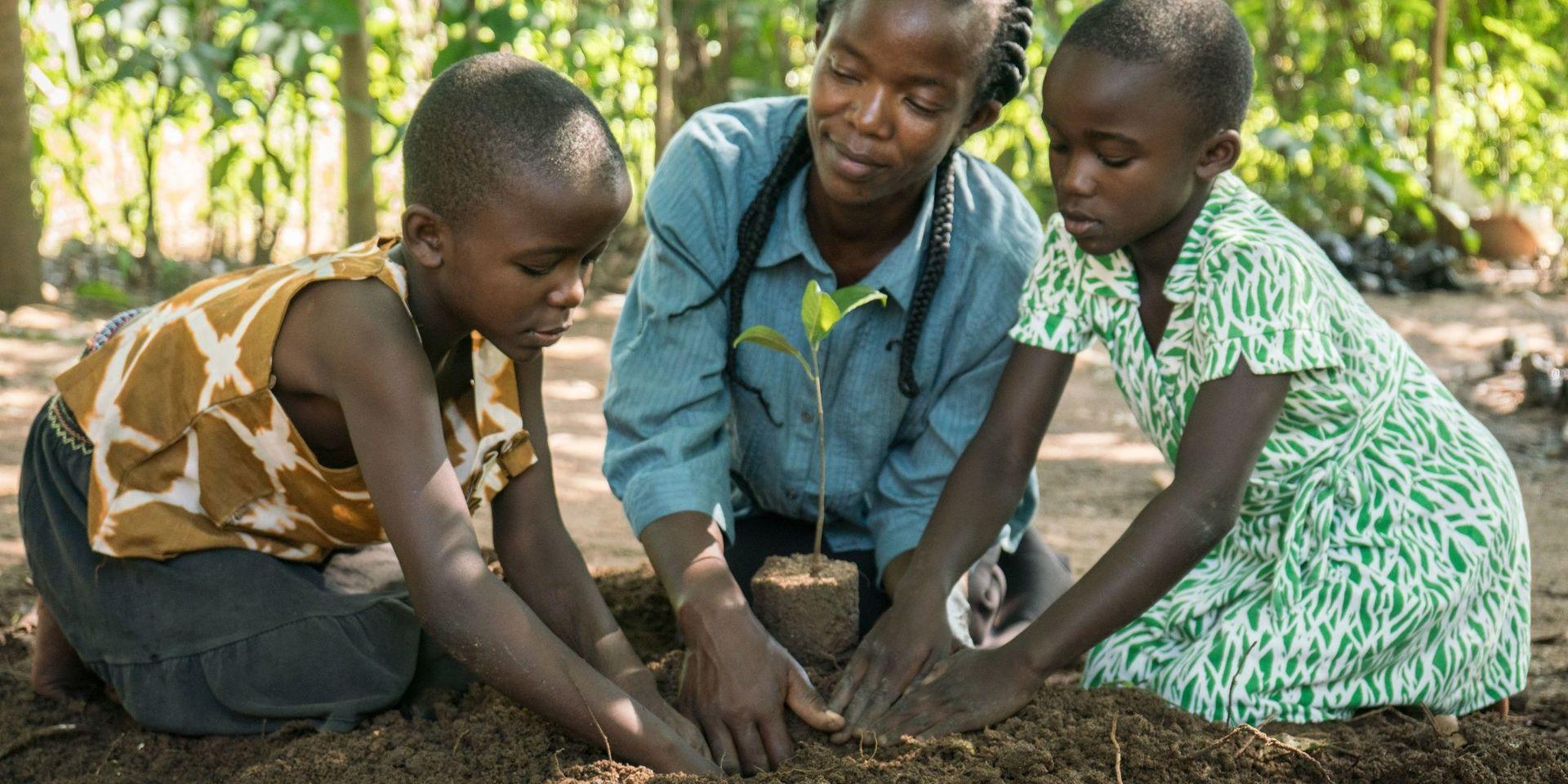 Mamma Lilian Ochieng med barnen Frida och Eliezel, planterar träd på sin gård i Kisumu, Kenya. Familjen Ochieng har fått utbildning i agroforestry och hållbara jordbruksmetoder genom Vi-skogen sedan 2010.