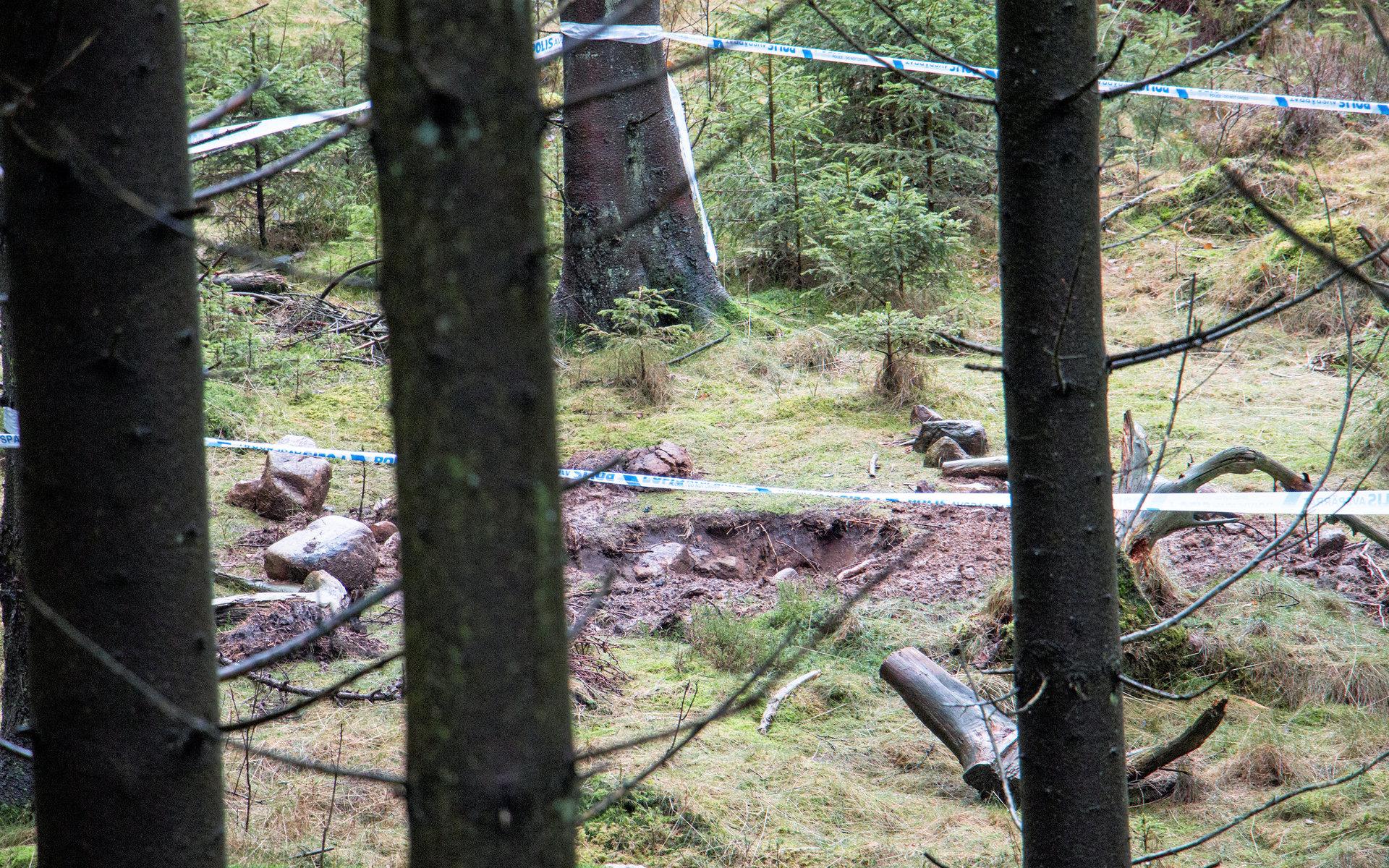 Platsen där kroppsdelar hittades 25 januari.