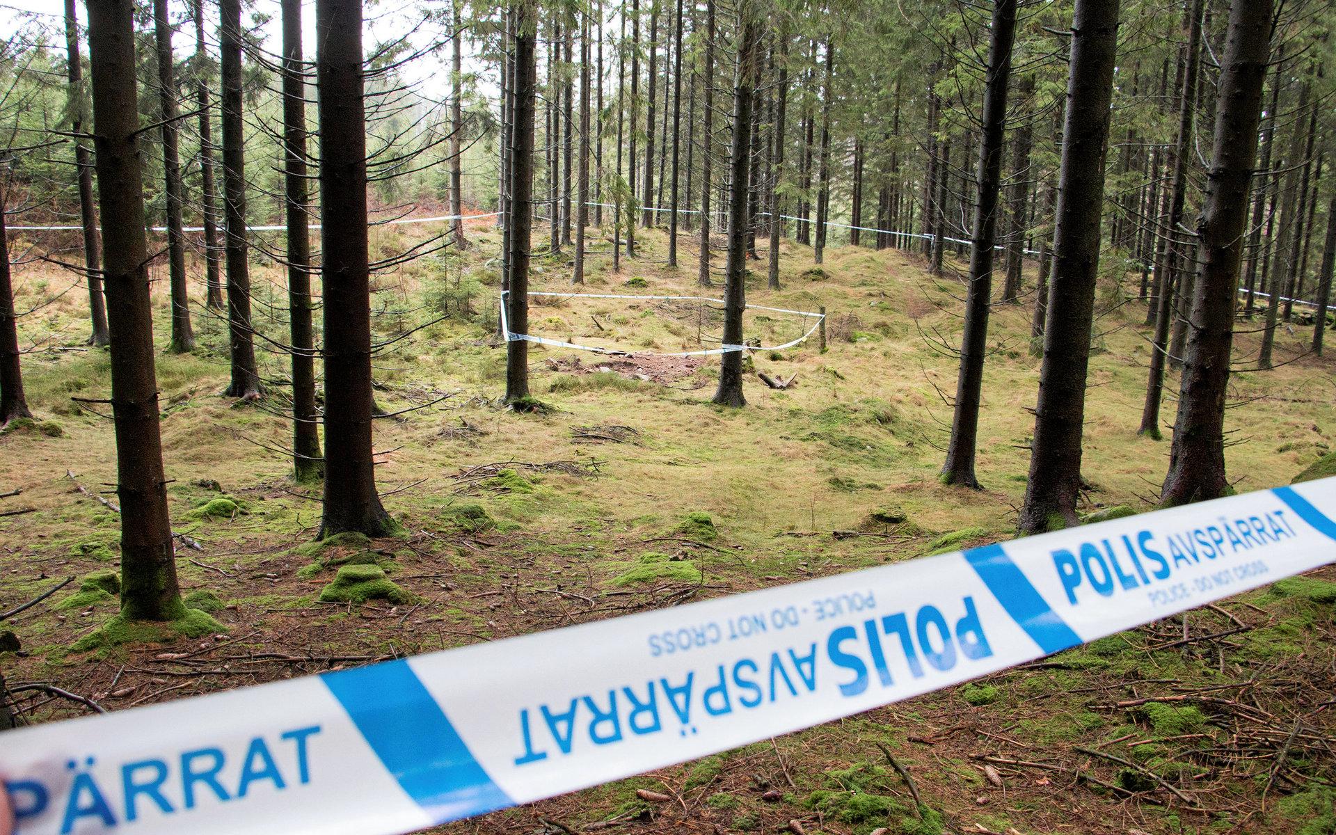 Platsen där kroppsdelar hittades 25 januari.