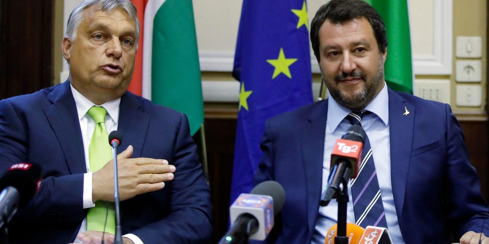 Italiens inrikesminister Matteo Salvini tillsammans med den ungerske premiärminister Viktor Orbán på en presskonferens efter mötet.