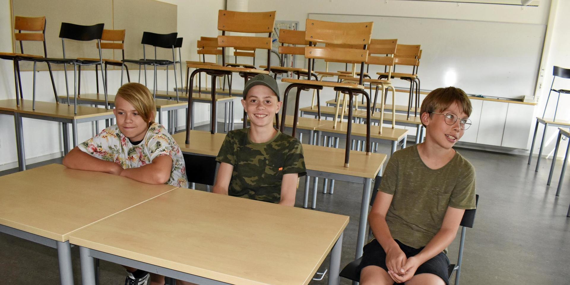 Theo Kulju, Vidar Sandström och Love Mogren börjar sjunde klass efter sommaren.