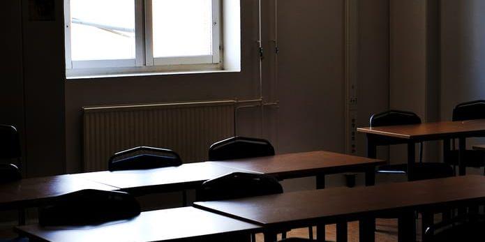 I Hylte har vårdnadshavare kunnat välja särskoleplacering då ingen elevassistent funnits att tillgå, skriver Stina Isaksson (SD).