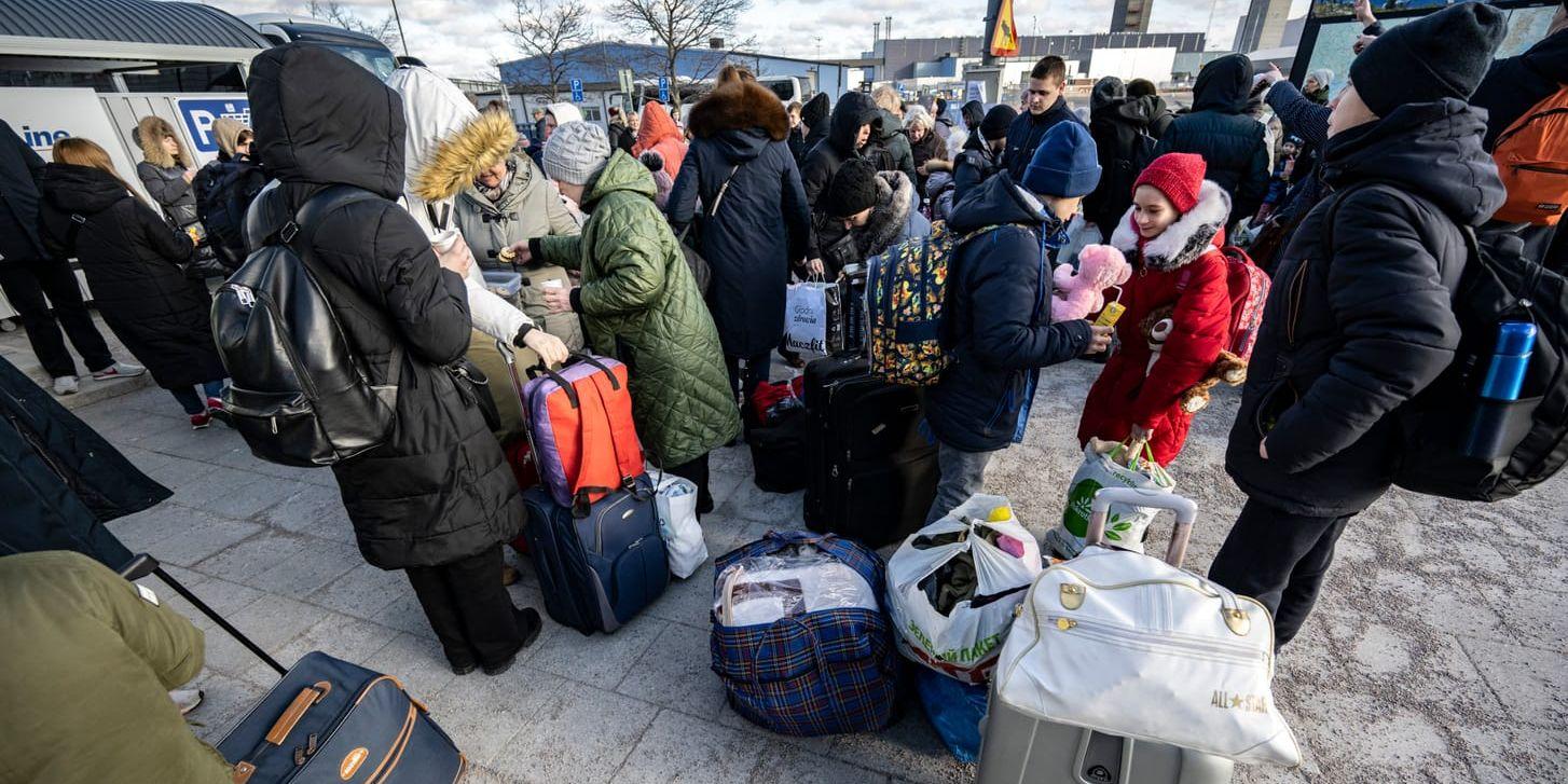 Svikna. De ukrainska flyktingar som kommit till Sverige har svårt att bygga en dräglig tillvaro här om de inte ges möjlighet att lära sig språket.
