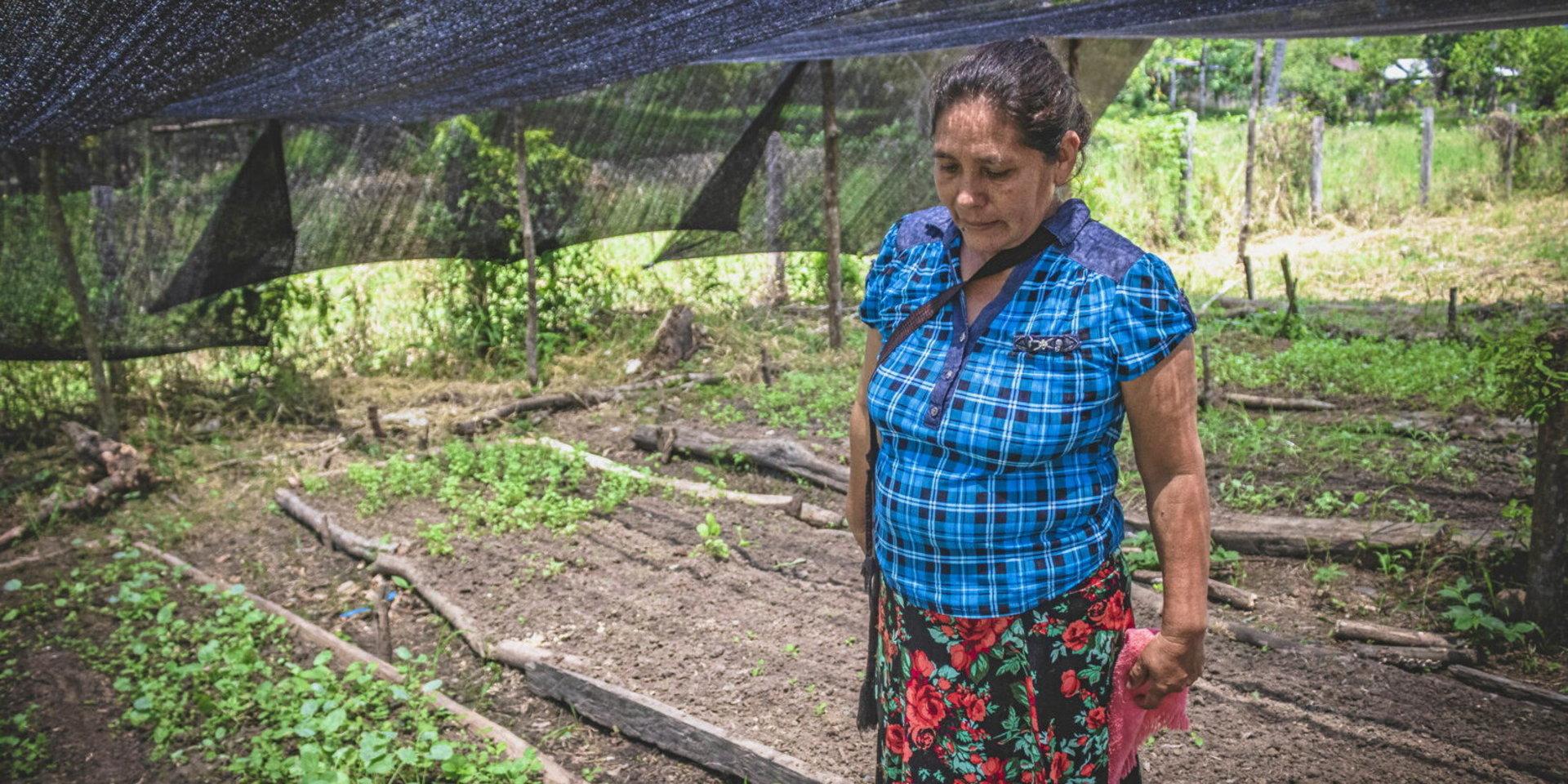 Felipa López Mazariegos i Guatemala som i dag får stöd av den svenska organisationen We Effect är en av många småskaliga bönder som kan drabbas av nedskärningen av biståndet. Bland annat kan deras arbete mot klimatförändringar och ett förändrat ekosystem påverkas.