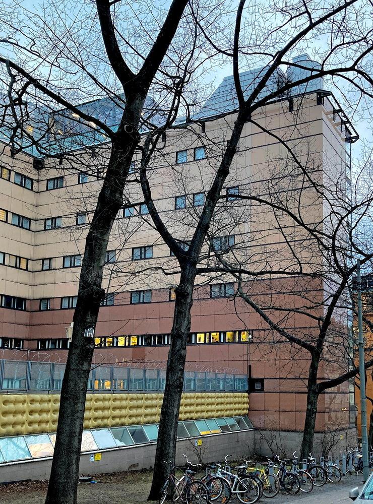 Sedan den 24 september har den 49-åriga kvinnan från Vallås suttit inlåst på Kronobergshäktet på Kungsholmen i Stockholm. Domstolen beslutade på fredagen att hon ska sitta fortsatt häktad.