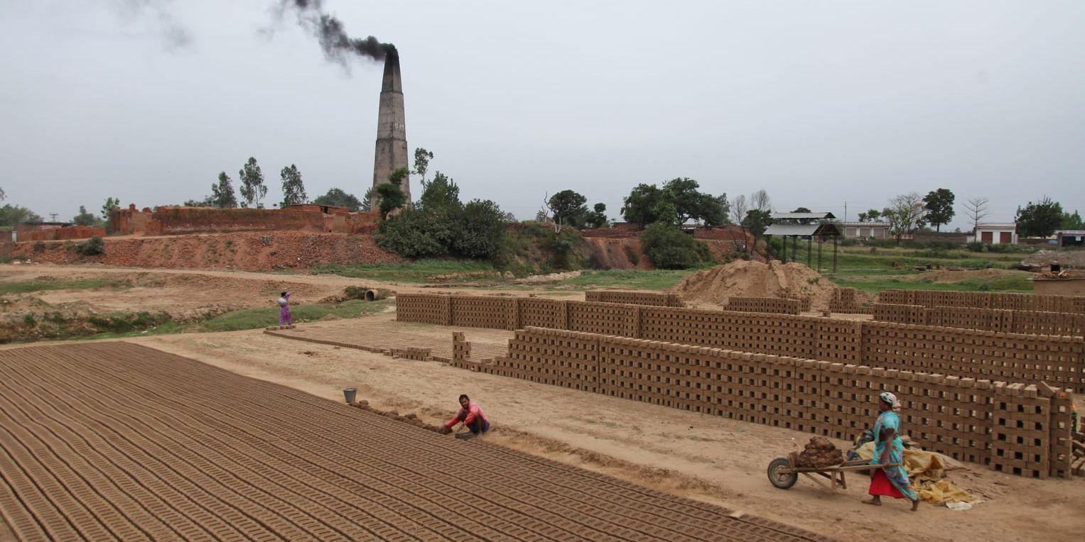 Miljöföroreningar dödar miljontals människor i världen varje år. På bilden en tegelfabrik i Indien. Arkivbild.