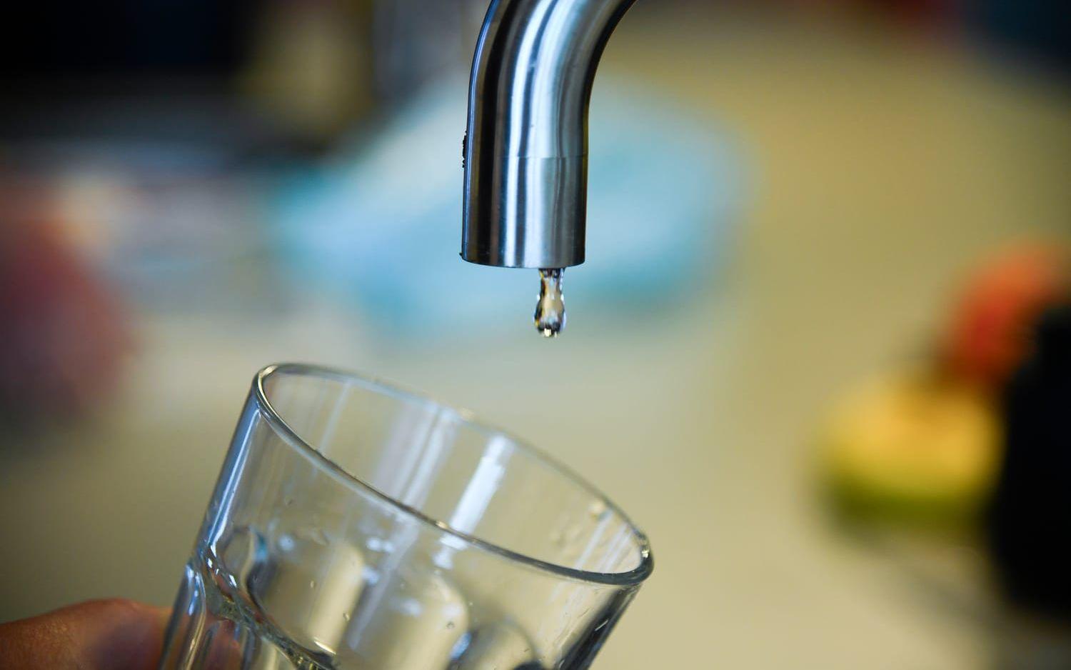 Det är risk för låga grundvattennivåer i Skåne. Arkivbild.