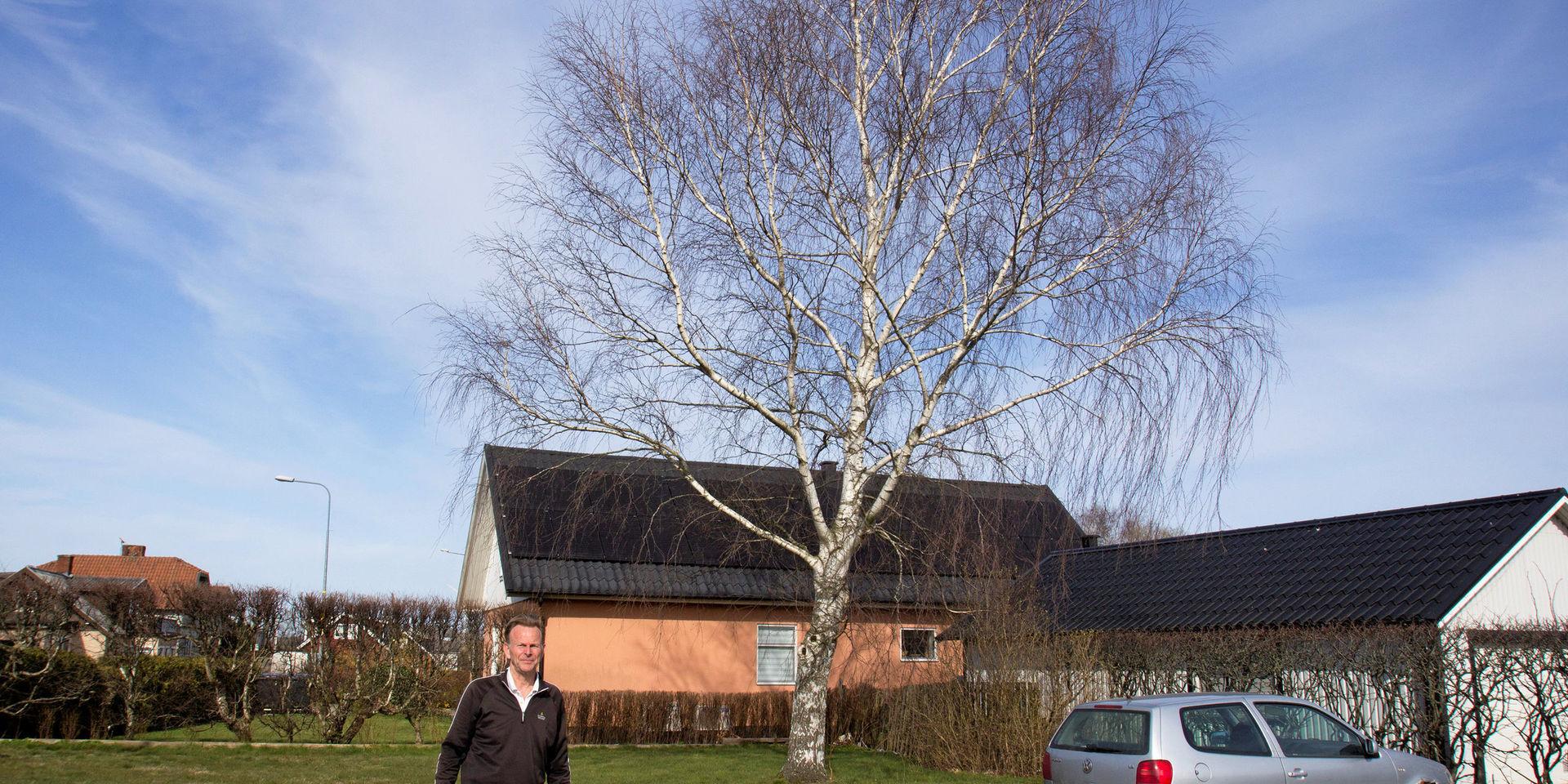 Laholms kommun tycker att det är bra att rätten ska reda ut frågan om det kommunala trädet som skuggar solceller på en privat villa. Domen blir en vägledning i framtiden, hoppas stadsträdgårdsmästaren.