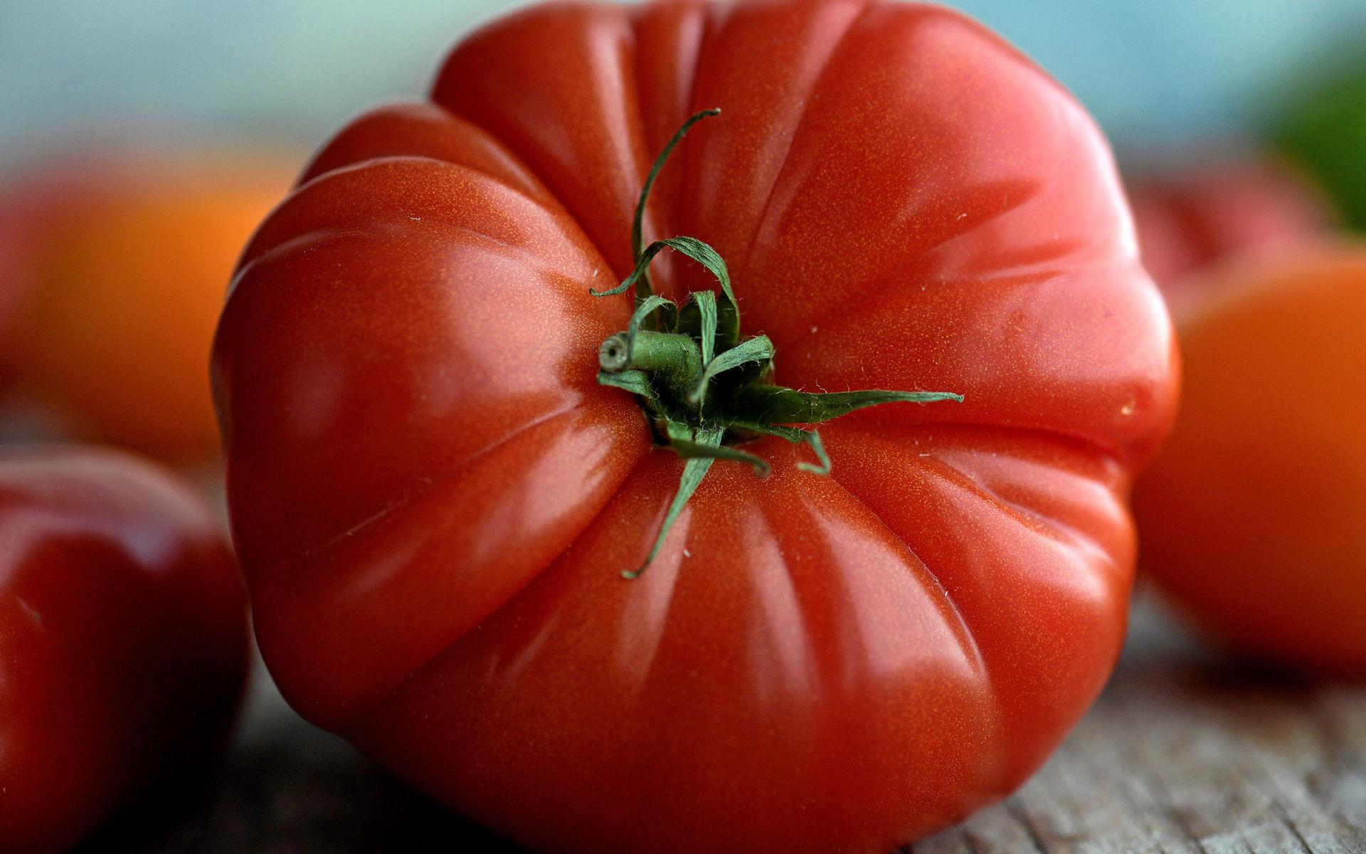 Passa på att frossa i tomater när de är som allra bäst. Tänk på att de tappar doft och smak om de förvaras i kylskåp.