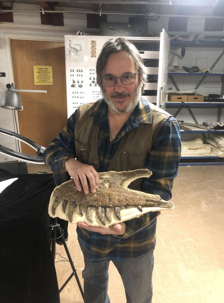 David Burnham håller upp den förbryllande fossilen av en välbevarad käke som kan tillhöra en ung Tyrannusaurus rex, eller möjligtvis den omdebatterade arten Nanotyrannus.