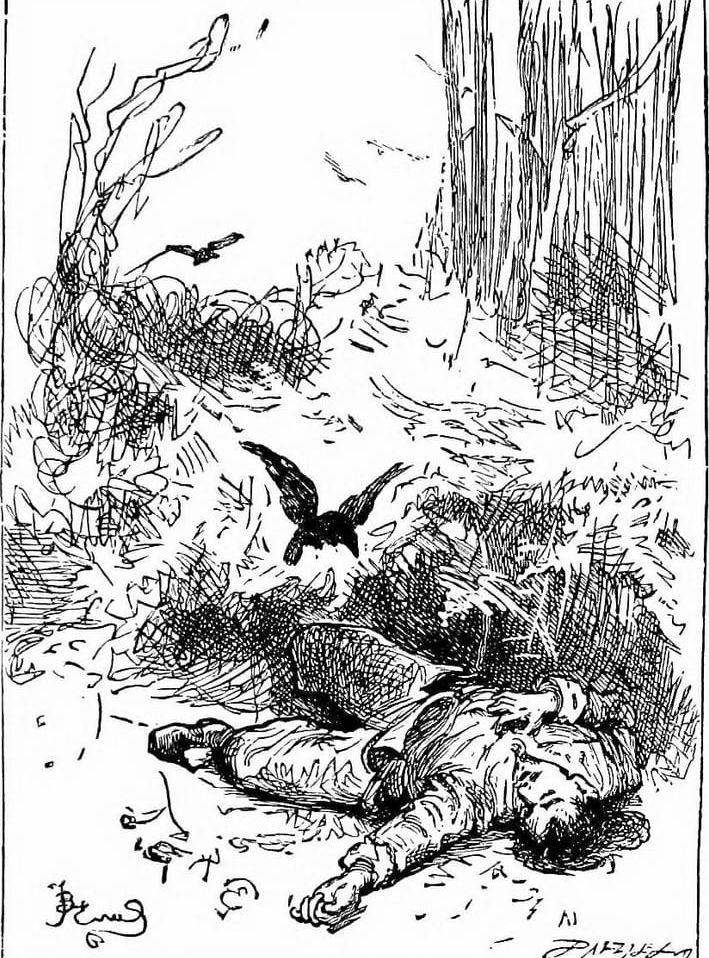 Den skjutne snapphanen. Illustration ur en engelsk bok från 1800-talet.