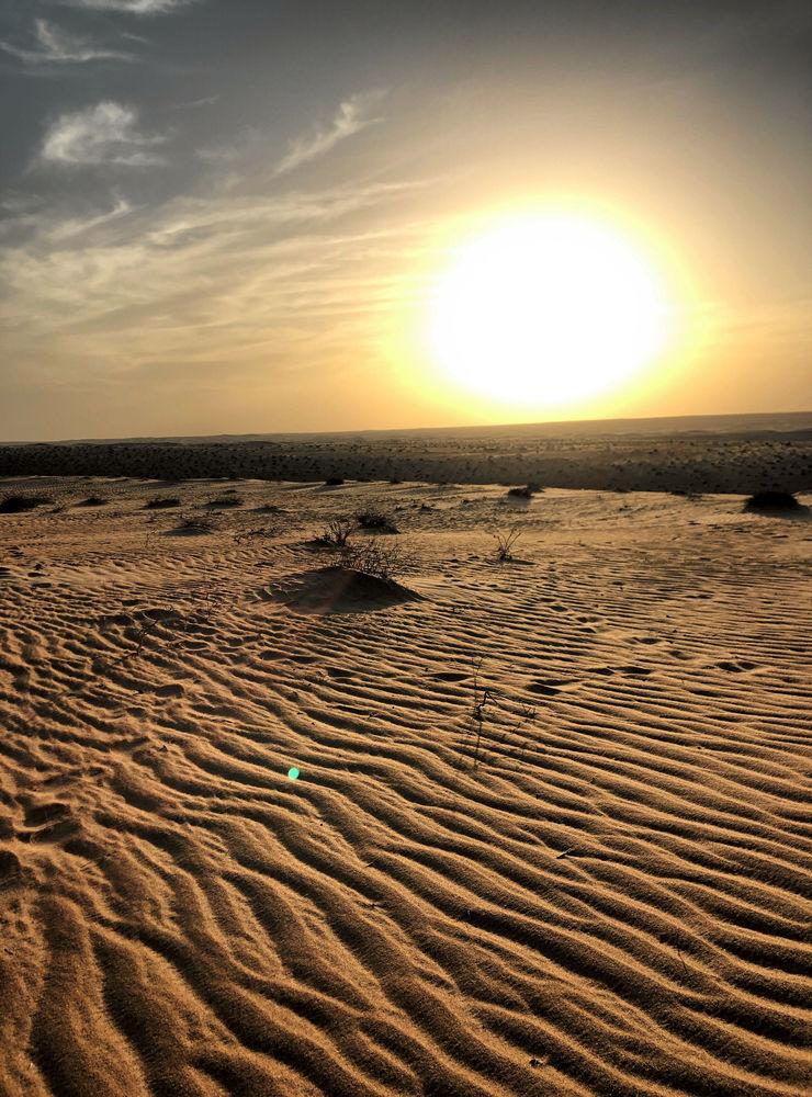 Solnedgång i Wahiba Sands, belägen i regionen asch-Scharqiyya i östra Oman. Öknen är cirka 180 kilometer lång och cirka 80 kilometer bred och består till stor del av långsträckta, upp till 100 meter höga sanddyner.