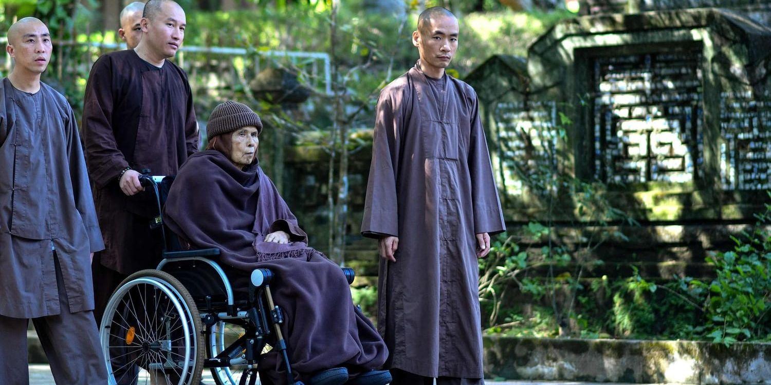 Buddhistmunken och författaren Thich Nhat Hanh på rullstolspromenad vid templet Tu Hieu i Hue i Vietnam.