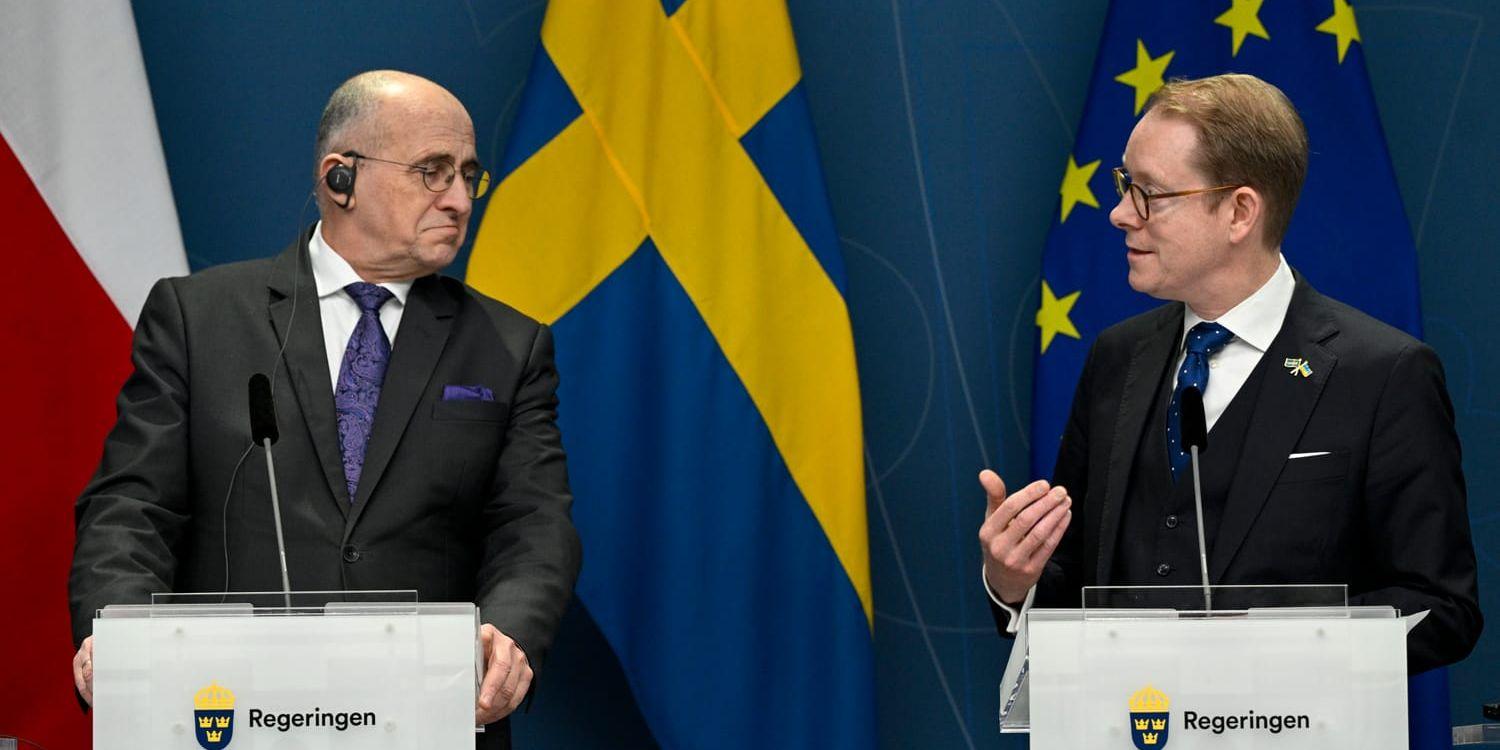 Polens utrikesminister Zbigniew Rau och utrikesminister Tobias Billström under en pressträff i Stockholm.