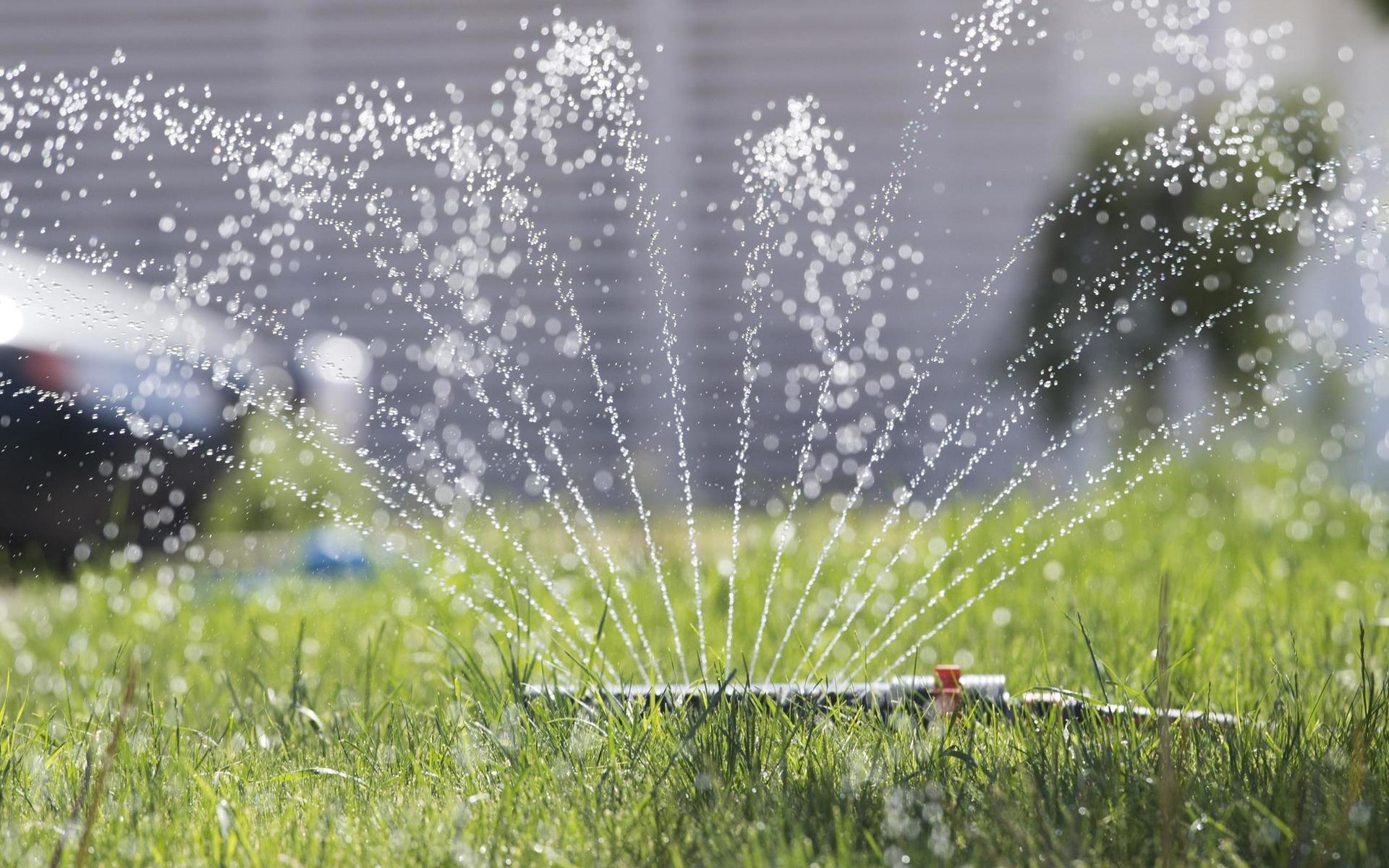 En vattenspridare på gräsmattan är inte att rekommendera om den är kopplad till dricksvattensystemet. 