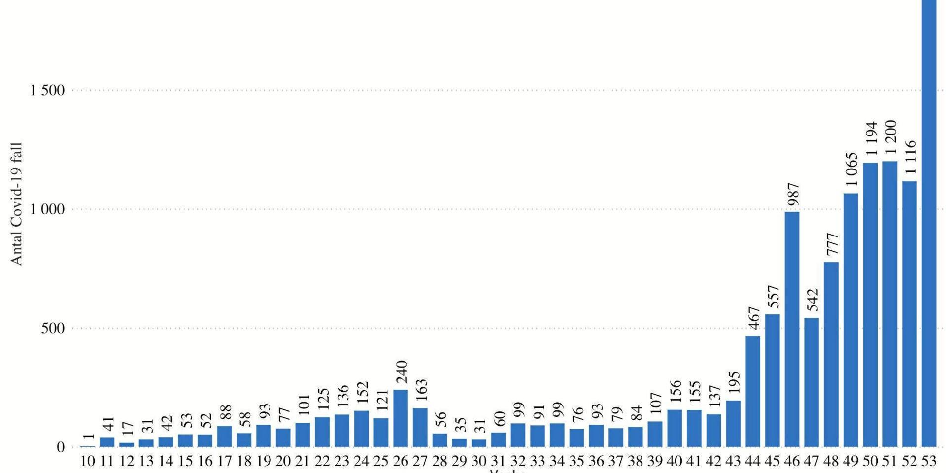 De blå staplarna visar antal konstaterade fall av covid-19 i Halland, vecka för vecka. Under hela december konstaterades runt 1 000 fall per vecka och vecka 53 slutade på nästan det dubbla, 1 952 nya fall av covid-19.