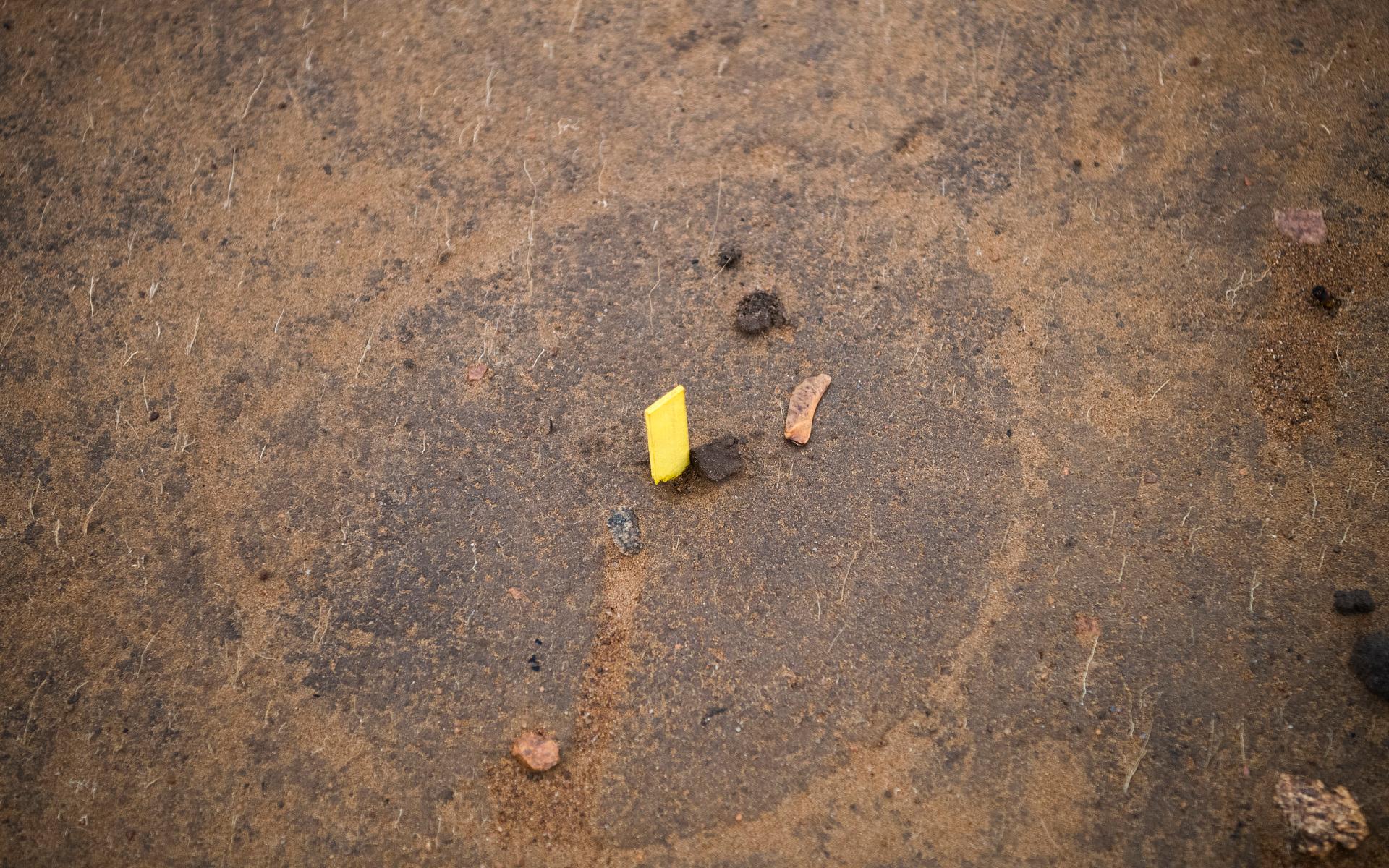 Varje liten gul pinne på marken markerar var ett fynd har hittats.