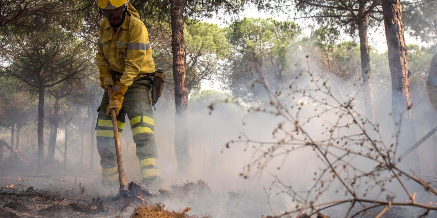 En brandman i Spanien släcker en brand. Arkivbild från 2017.