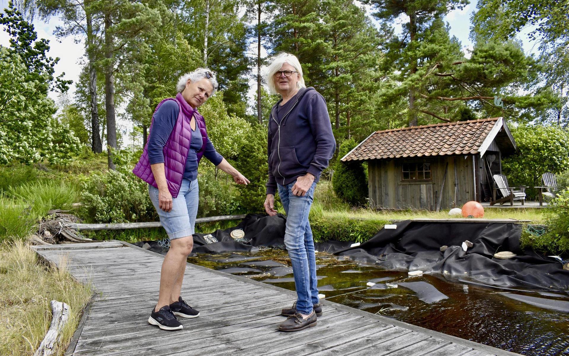 Bo och Maria Nygren framför sjögullsbeståndet som nu får smaka på sin egen medicin – växten ska nämligen bekämpas genom att täckas över.