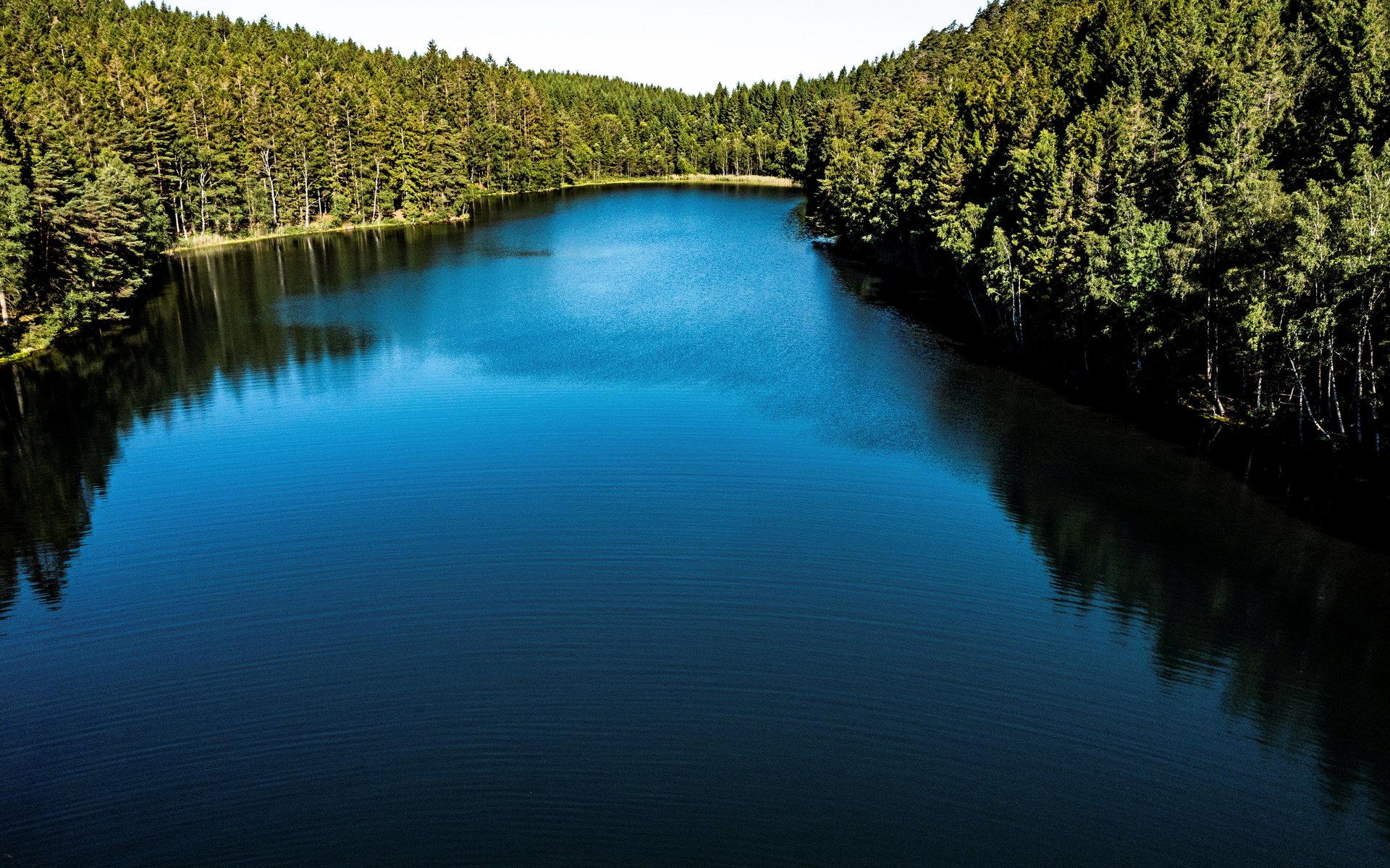 Sjön ligger väl dold inne i granskogen. 