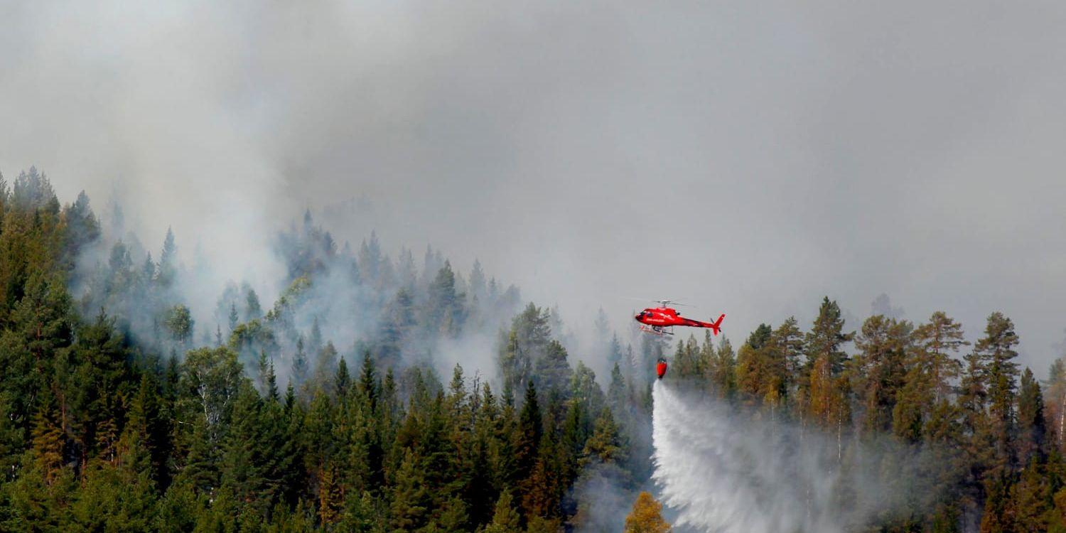 Skogsbrand vid jämtländska Pålgård på måndagen. Vattenbombning med hjälp av helikoptrar.
