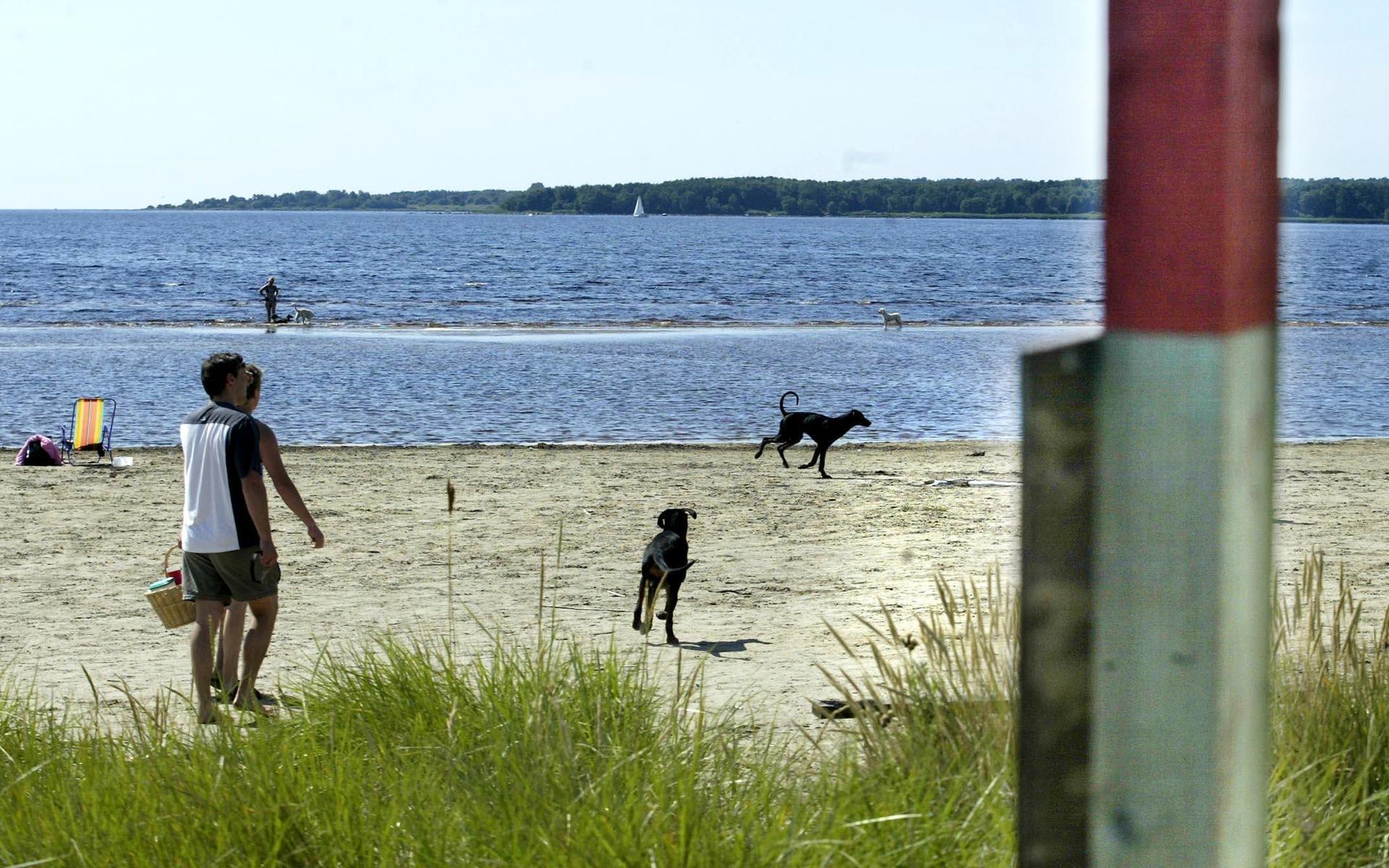 På Västra stranden är det tillåtet att ha med sig hunden.