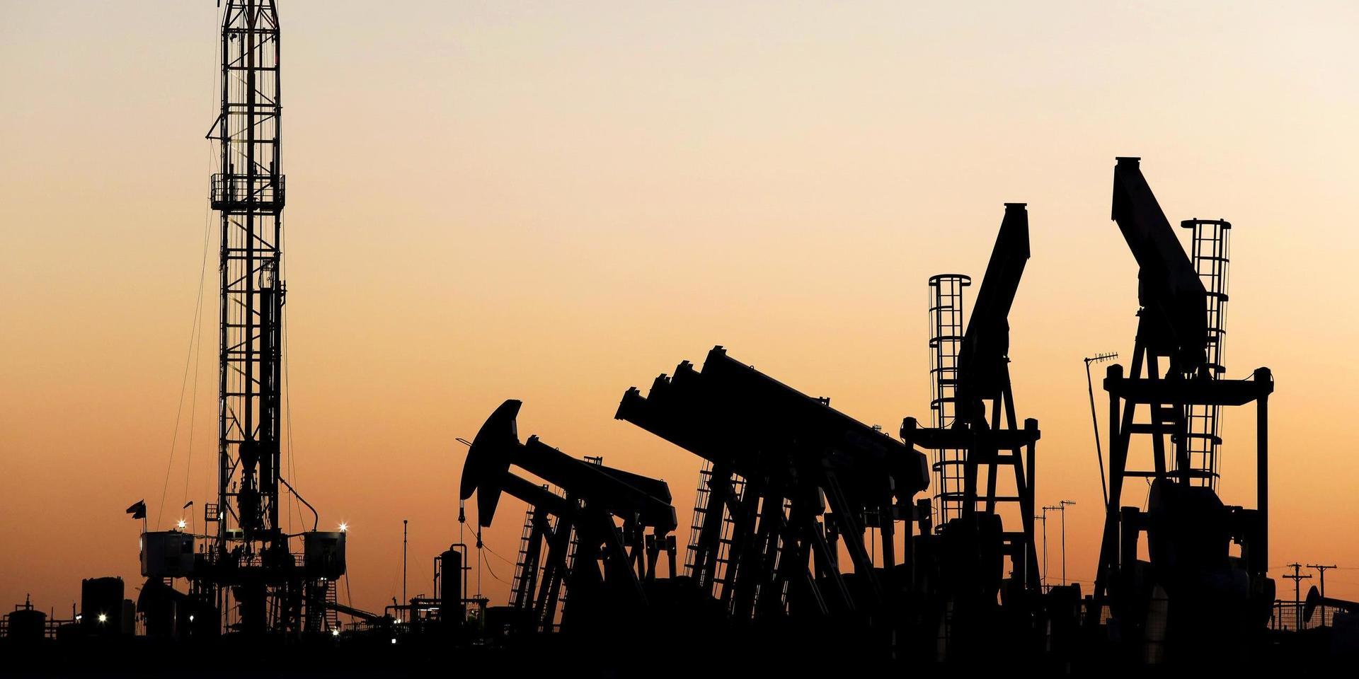 Oljekartellen Opec, Ryssland och andra oljeländer ska snart besluta om nästa års produktionskvoter. Arkivbild