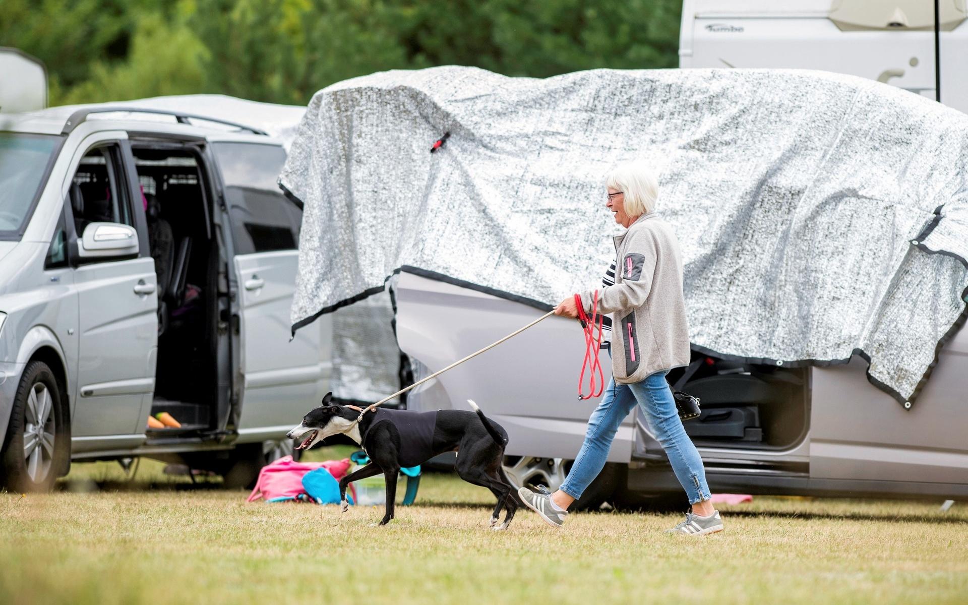 Runt hela området är det full aktivitet där många har rest från olika delar av Sverige och parkerat sina husvagnar. Överallt ser man hundägare som går runt med sina whippets i väntan på att deras hundar ska få springa just sitt heat. 