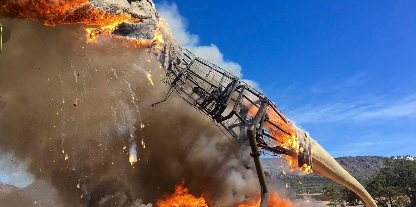En T-rex fattade eld i en nöjespark i Colorado.