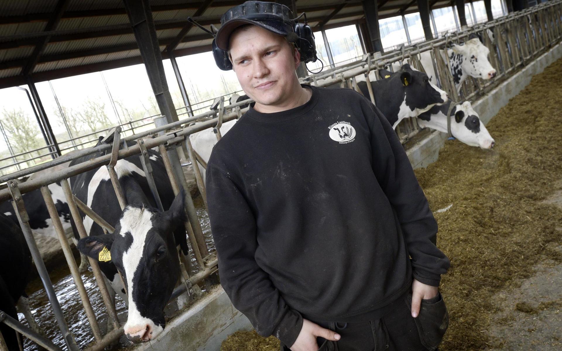 Sonen Oskar Svensson, 25, är redo för ett liv som mjölkbonde. 