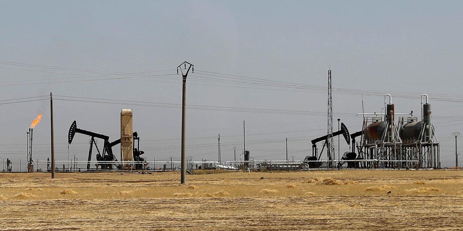 Bilden visar ett av flera oljefält som kontrolleras av SDF i Syrien. Arkivbild.