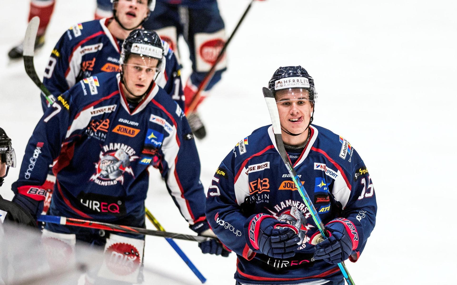 Halmstad Hammers spelar vidare i Hockeyettan efter beslut från Svenska ishockeyförbundet.