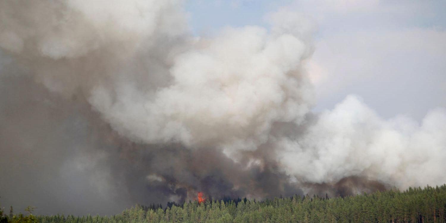 Alliansen kräver ett extrainkallat försvarsutskott med anledning av de många skogsbränder som rasar i Sverige. Arkivbild.