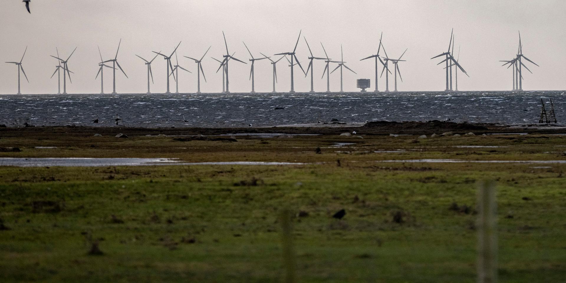 48 vindkraftverk i den havsbaserade vindkraftsparken Lillgrund utanför Bunkeflostrand söder om Malmö. 