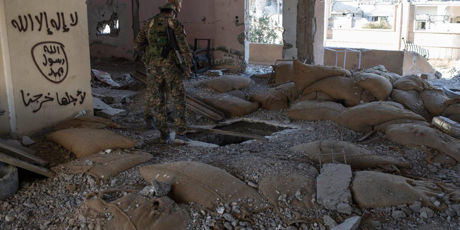 En man som strider för SDF-milisen kontrollerar en byggnad som tidigare kontrollerats av terrorgruppen IS. Arkivbild.