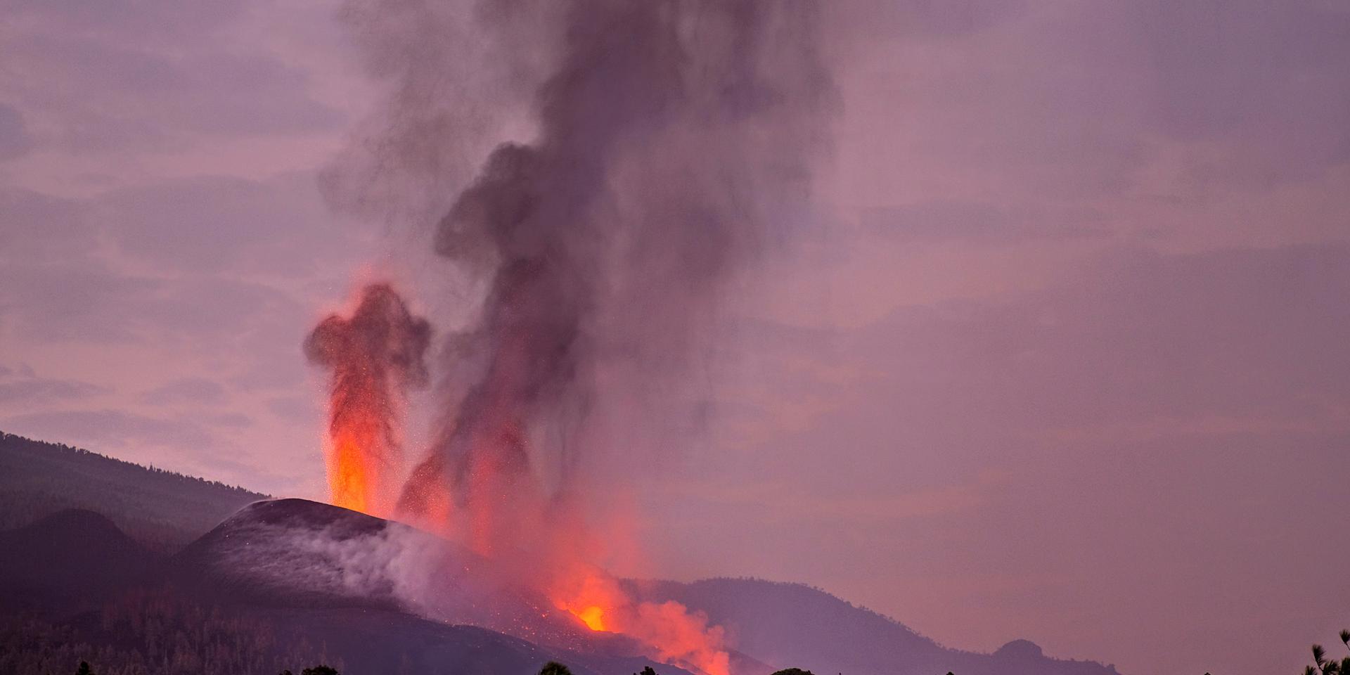 Ingen ände är i sikte på vulkanutbrottet på La Palma. Fyra isolerade hundar ska nu försöka undsättas. Arkivbild.