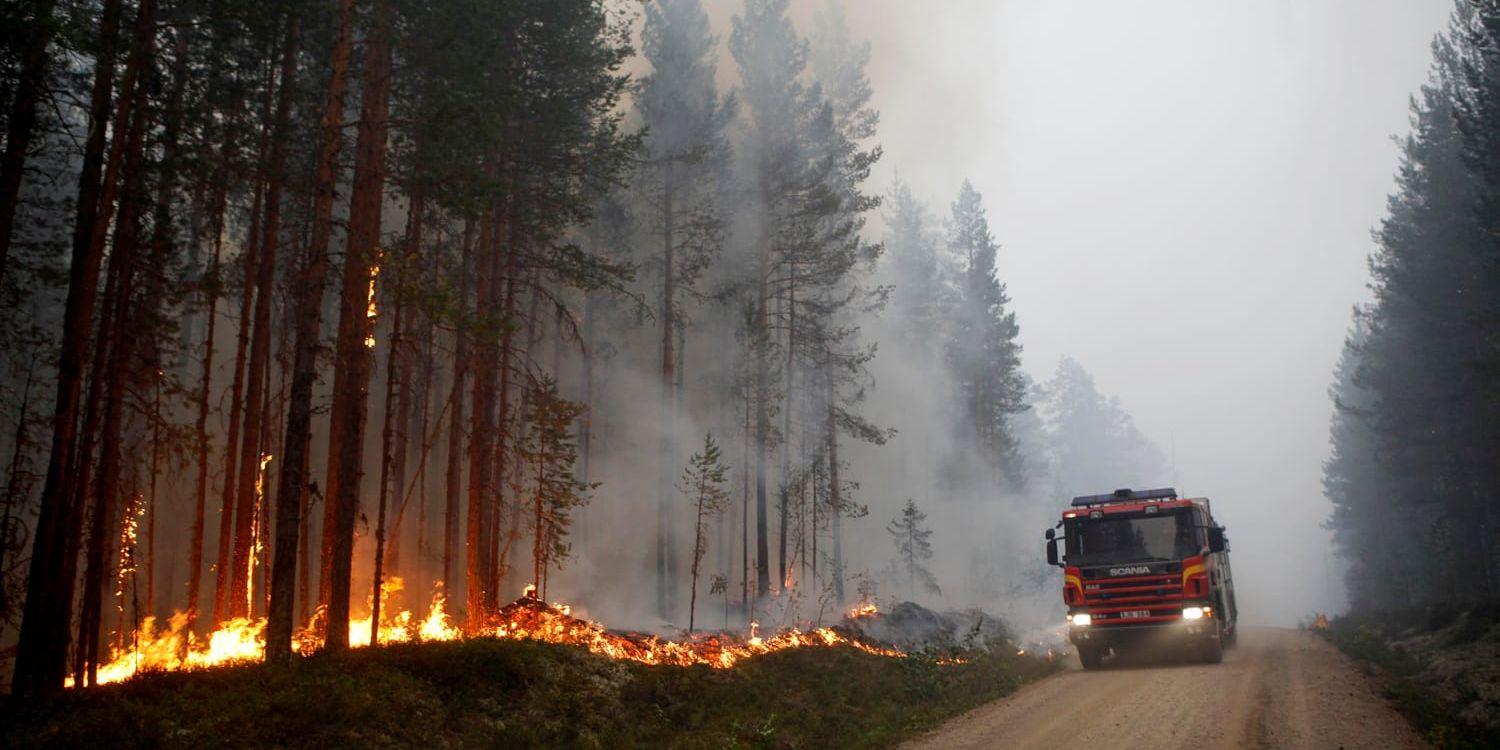 Skogsbrand vid Kårböle i Ljusdals kommun härjade på söndagskvällen. Elden är på väg mot bebyggt område och de som befinner sig i Ängra uppmanades att lämna byn.