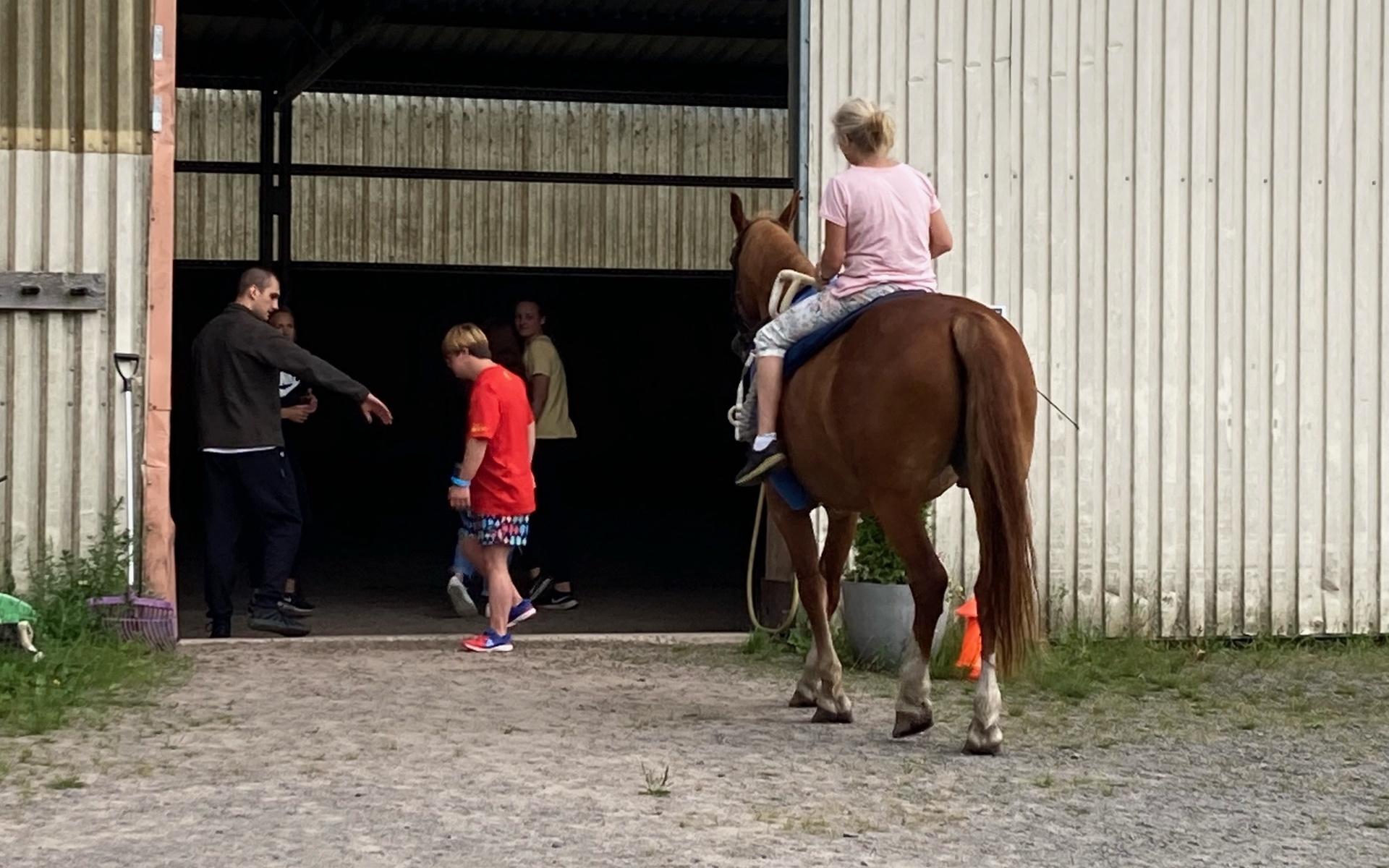 Voltigeklubben Caprifolen inkluderar förstås hästarna i sina workshops.