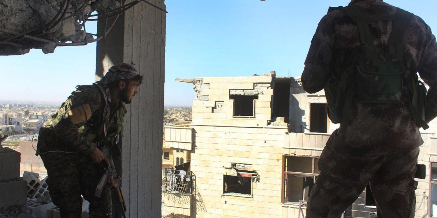 Ett foto taget av den kurdisk-arabiska rebellalliansen SDF i den syriska staden al-Raqqa, bara timmar innan terrorrörelsen IS besegrades där.